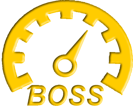 Boss Logo